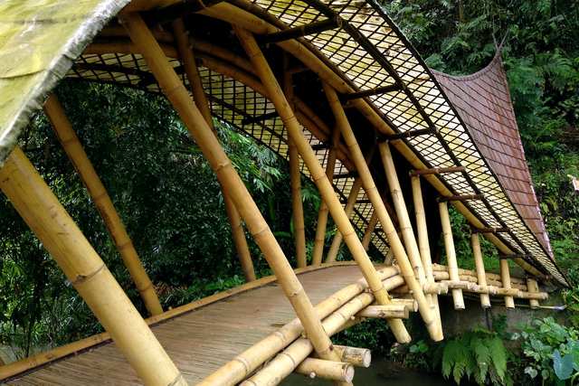 Magic Green - Bambu Indah