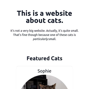 I Made an Express App About my Cats