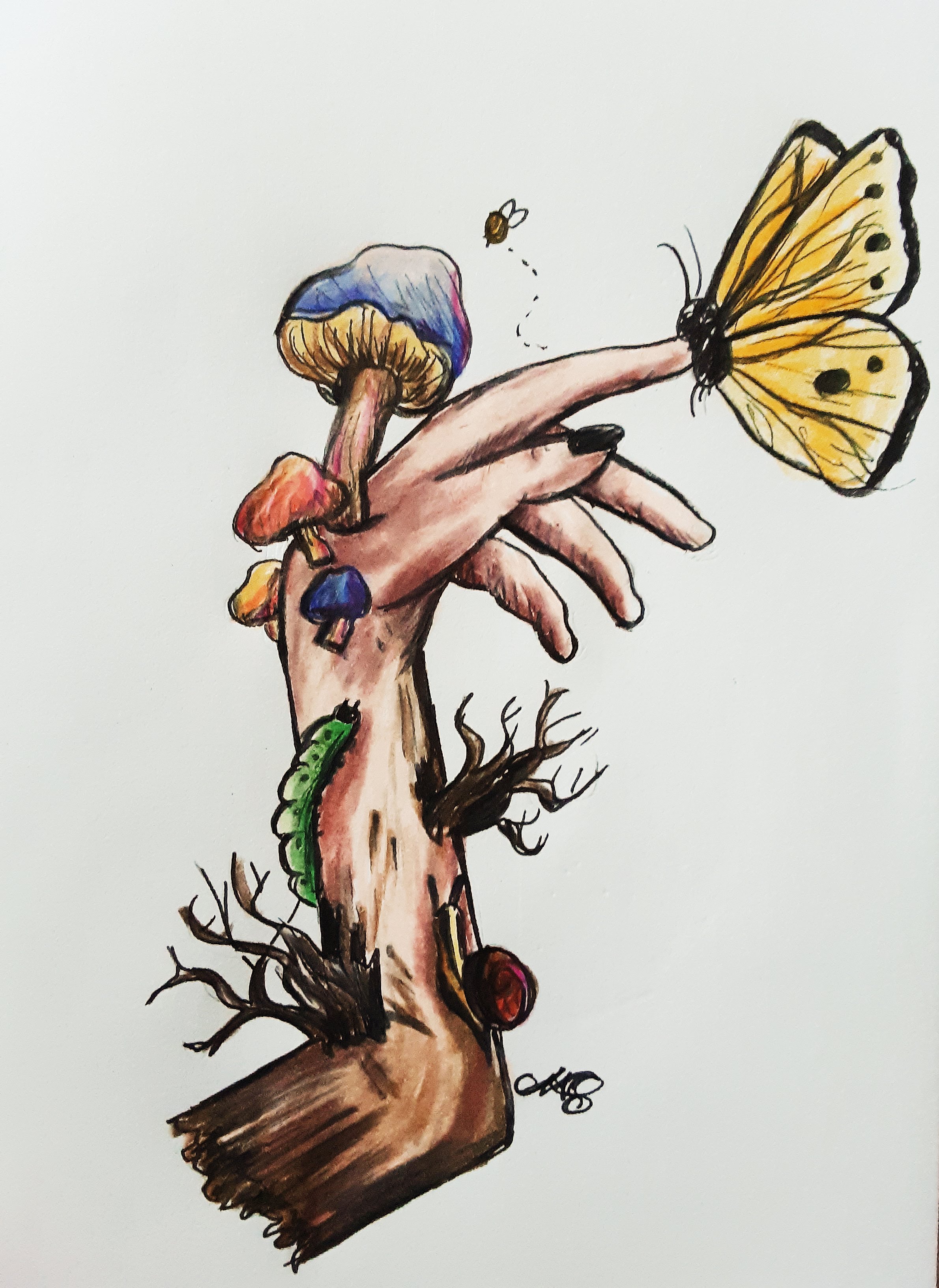 Wild and Free Wild and Free