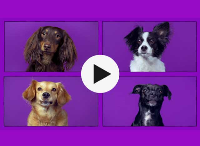 Newsletter Ideas - Nubank