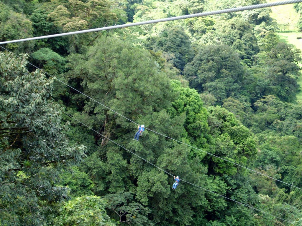 Paraíso do swing