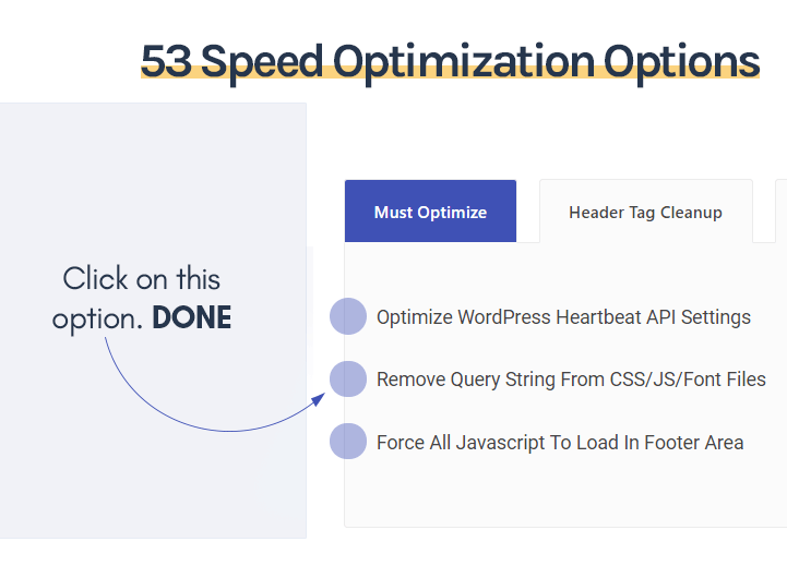 speed optimization plugin
