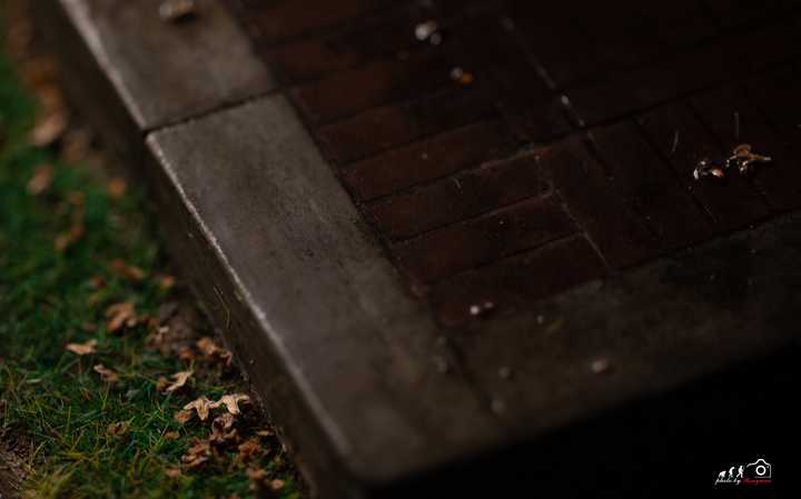 Forrest Gump with Scene