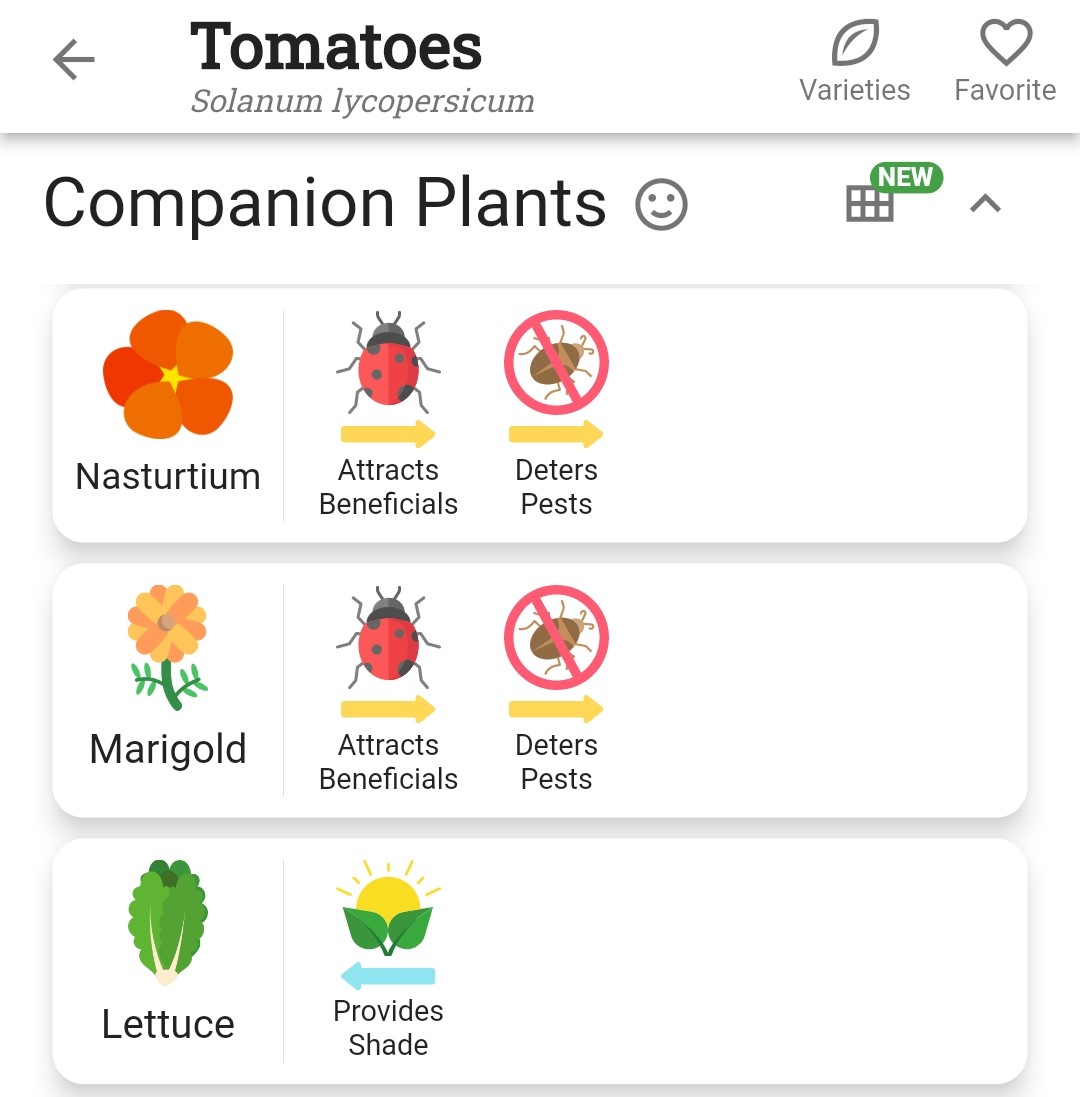 Screenshot of companion plant relationships icons