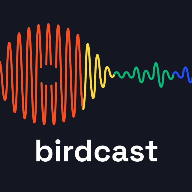 Birdcast - Podcast for B2B SaaS Teams