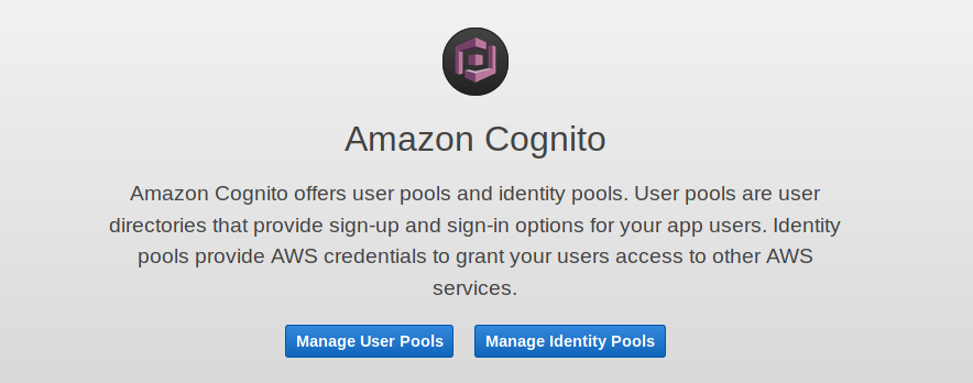 AWS Cognito User or Identity Pools