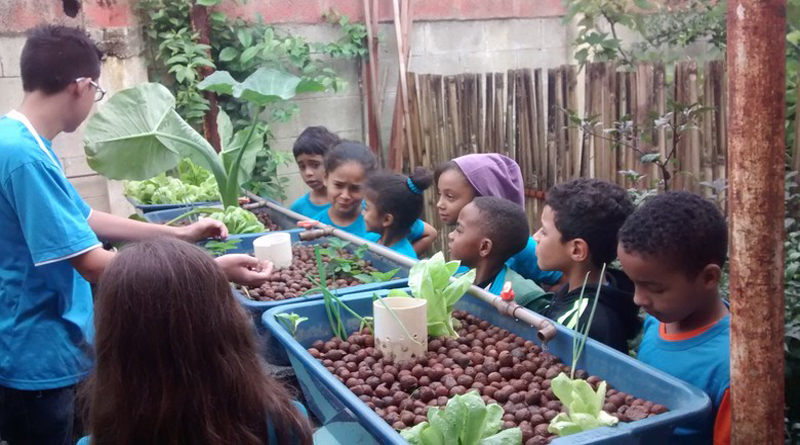 Imagem em destaque para o artigo: Educação ambiental em escola da capital mineira é um exemplo a ser seguido