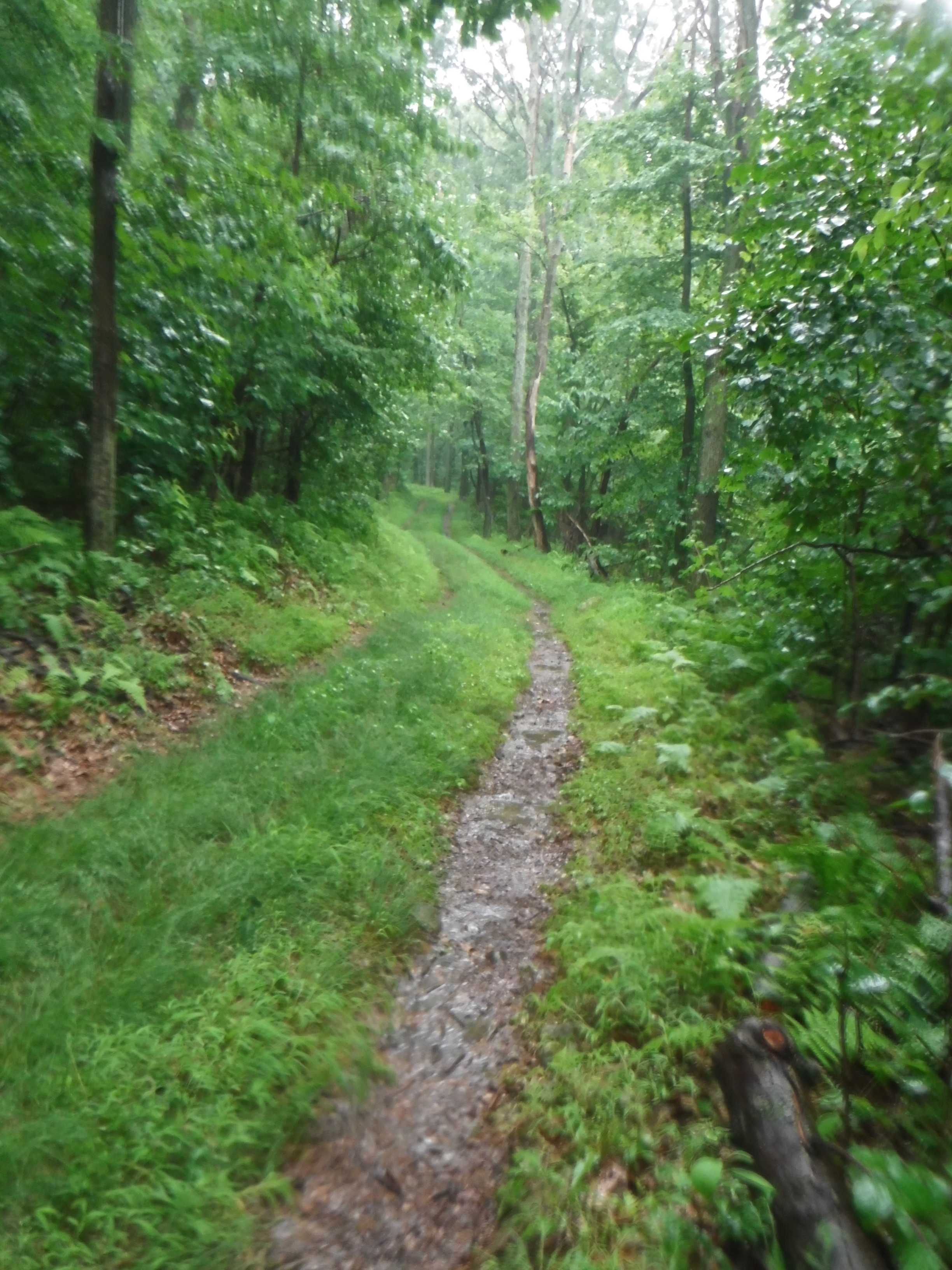 AT 2017 Day 94, Eckville Shelter to New Tripoli Campsite Hike with