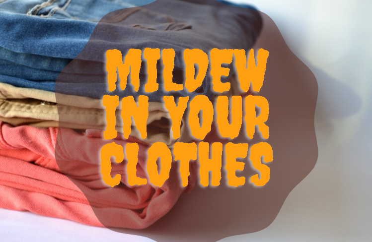 how-to-get-mildew-smell-out-of-clothes-quickly-full-guide