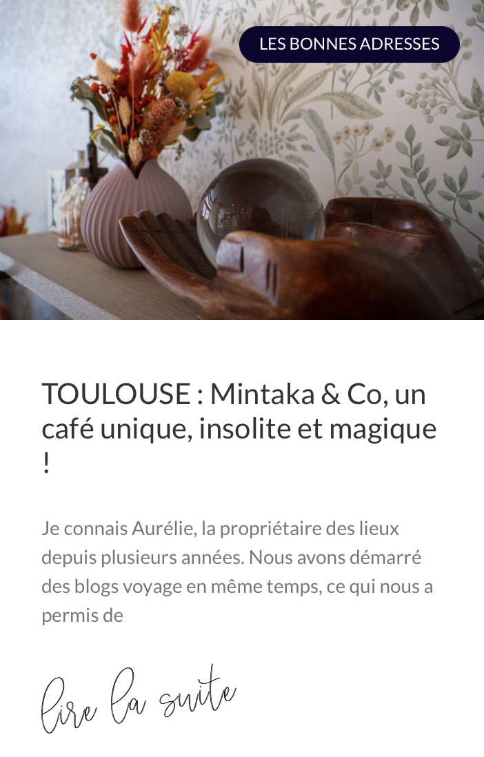 TOULOUSE : Mintaka & Co, un café unique, insolite et magique !