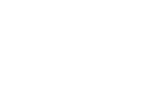 logo-google-reverse
