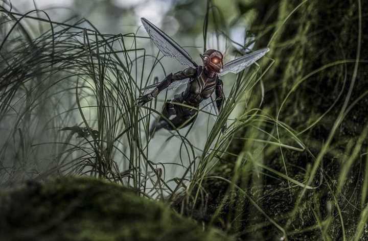 Six Inch Figure Collections Weekly Update 21