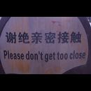 China Lost In Translation 4