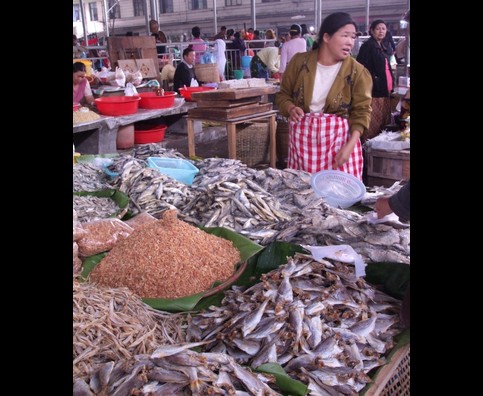 China Fish Markets 26