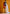 Single Image
