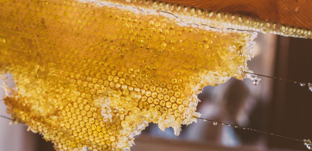 A honeycomb created by honeybees