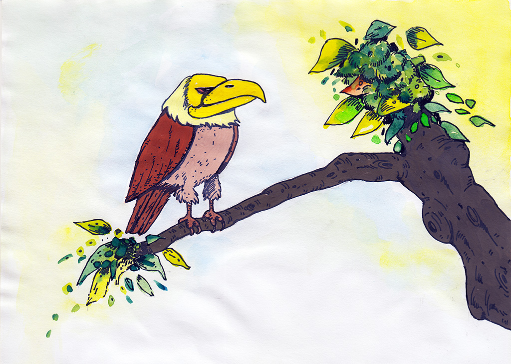 The Jungle Contest