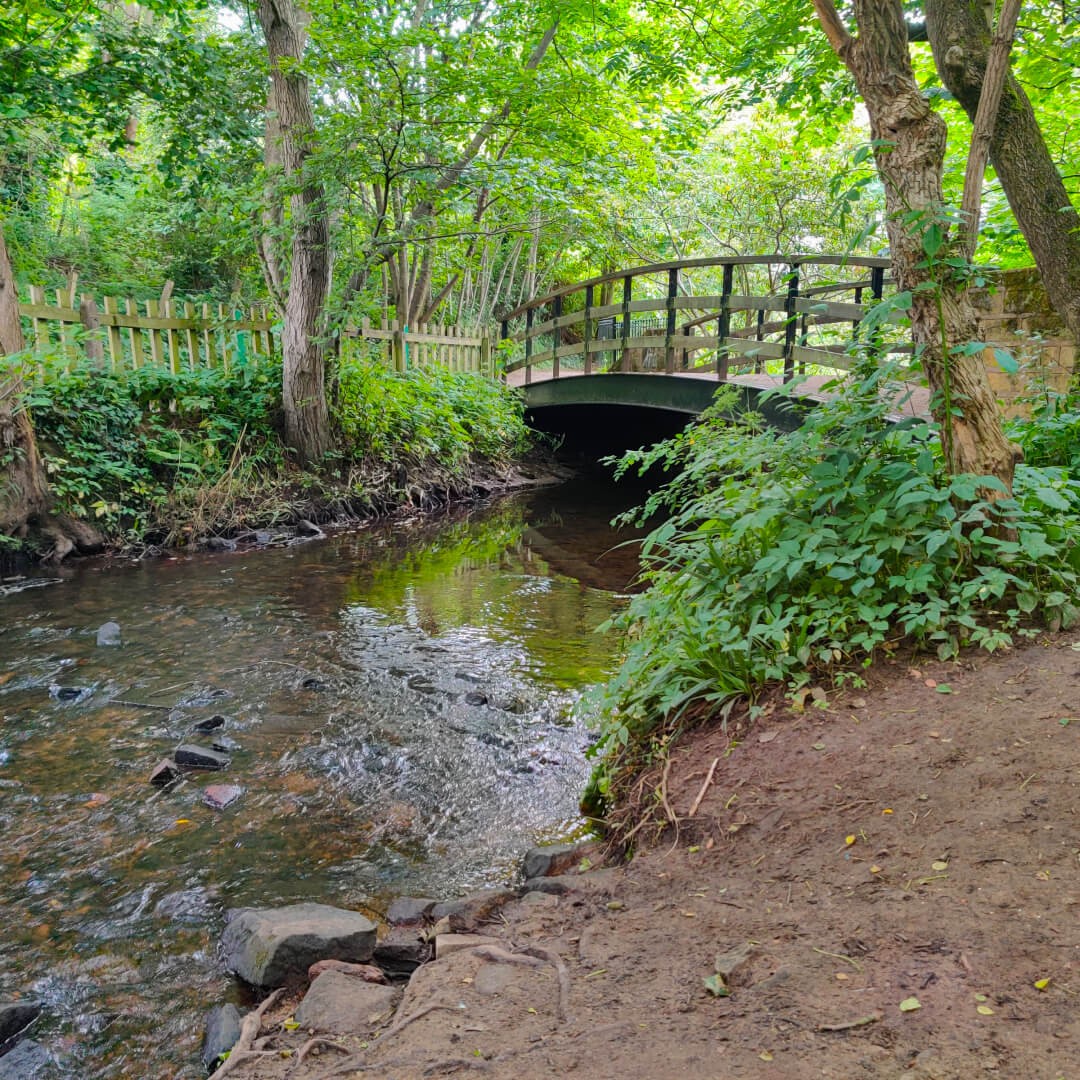 Meanwood Valley Local Nature Reserve bridge over beck