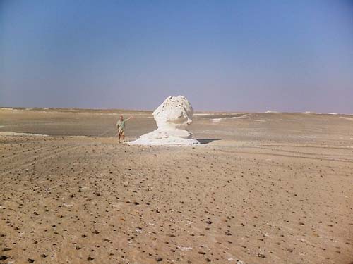 White desert 19