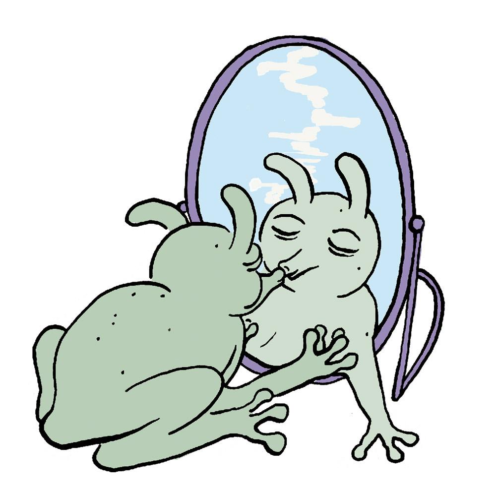 Die Illustration zeigt einen Frosch, der sich im Spiegel küsst.