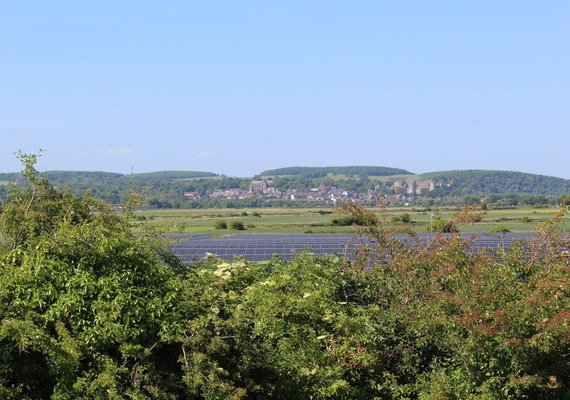 solar farm view with greenery