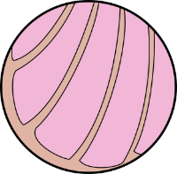 pink concha illustration icon