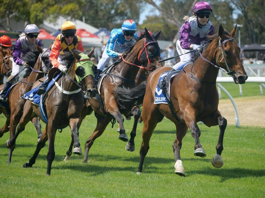 Kangaroo Island Cup Carnival 2022 UpNext