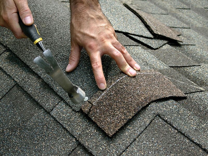 Man holding down shingles with hand to nail with hammer