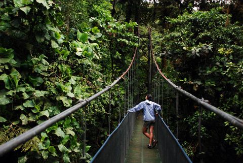 Sky Walk - Costa Rica suspension bridges
