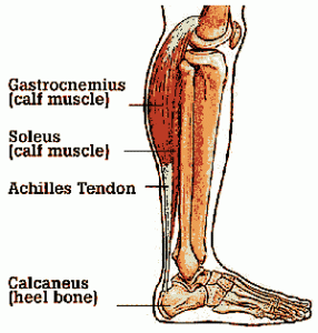 "Plantar