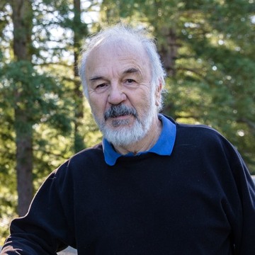 Harry Noller