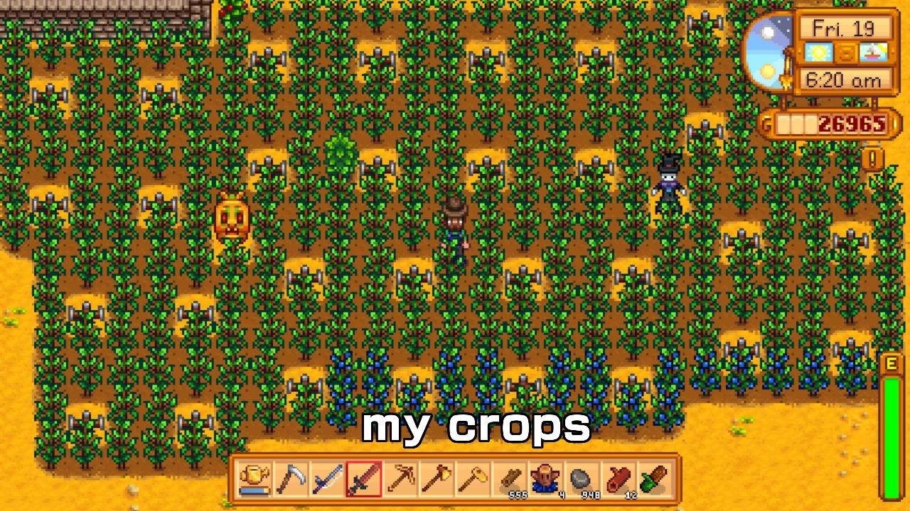 My crops