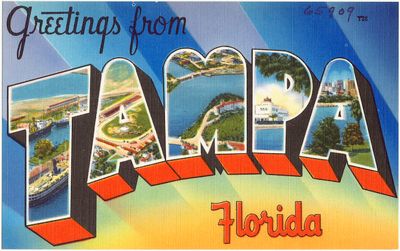 Greetings From Tampa Illustration