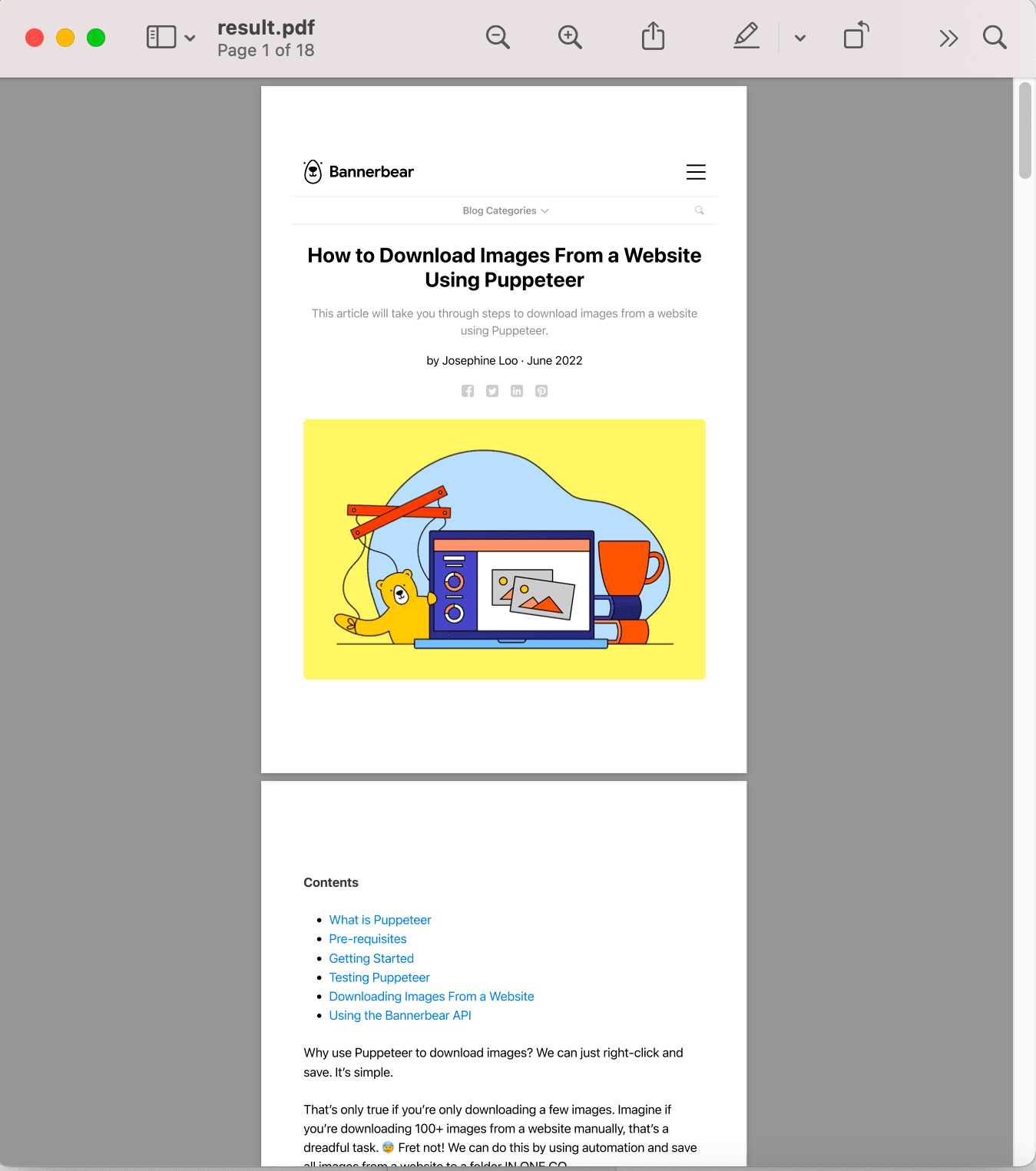 screenshot of the PDF file