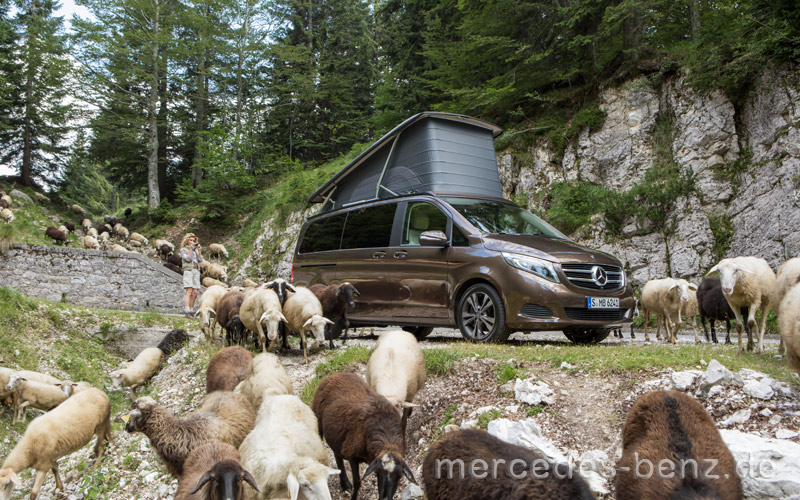 Mercedes Benz Marco Polo