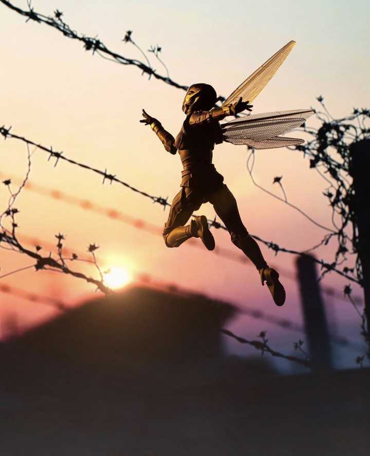 Six Inch Figure Collections Weekly Update 3