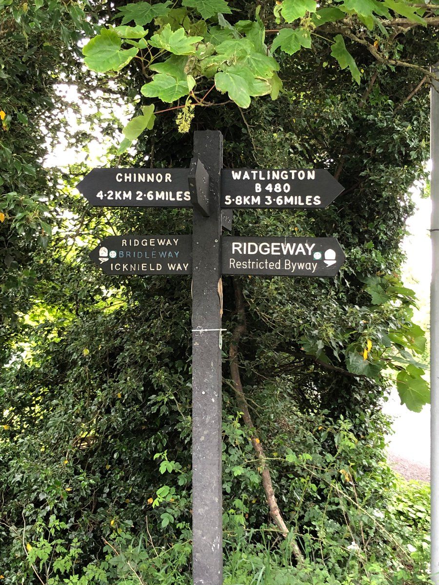 oh my god twitter doesn’t include alt text from images in their API