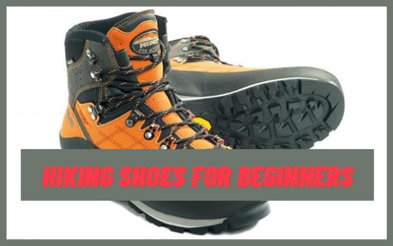 7 Best Hiking Shoes For Beginners