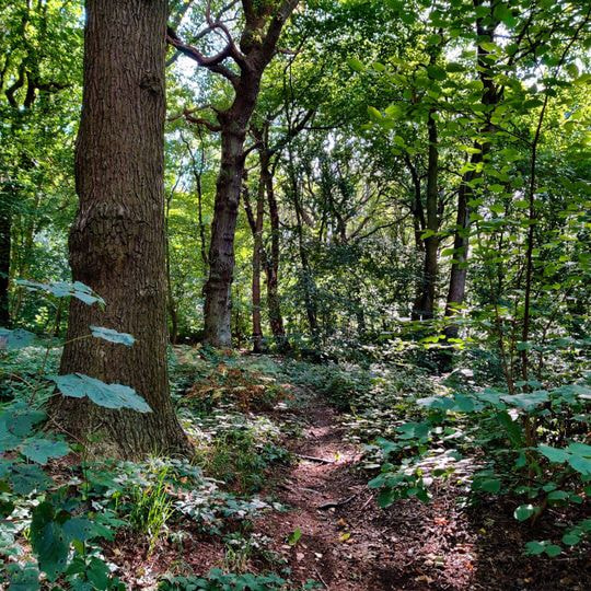 Hawksworth Wood - Discover Leeds