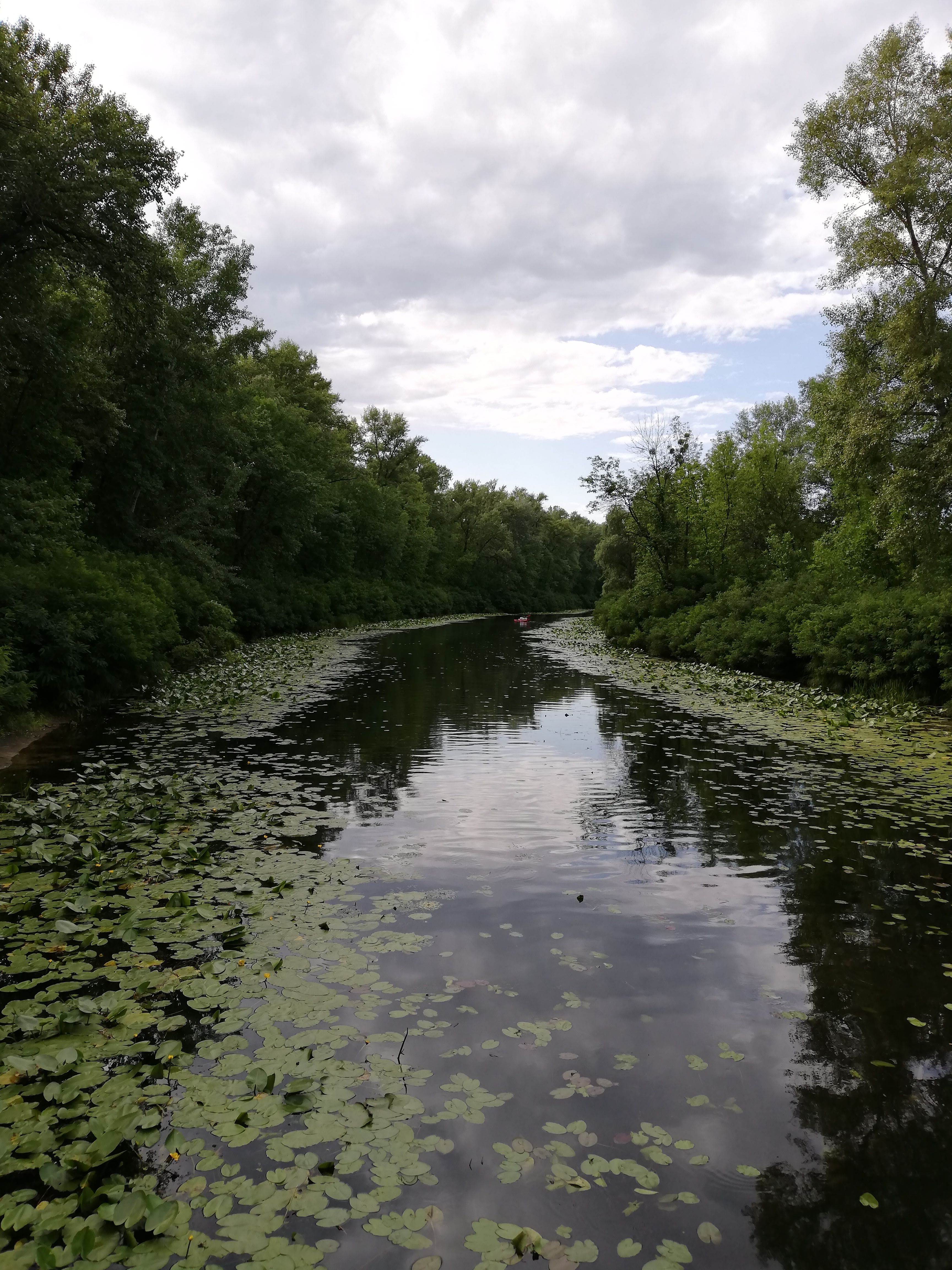Odessa Prymorskyi Boulevard