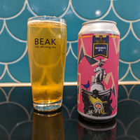 ALDI Stores UK - The Great British Brewing Co. Session IPA