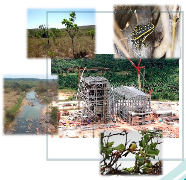 Imagem representando o caso de sucesso de Diferencial Energia