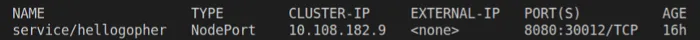 Kubectl get all — output shows that we are now exposing port 8080 from the hellogopher service into the hosts 30012 port.