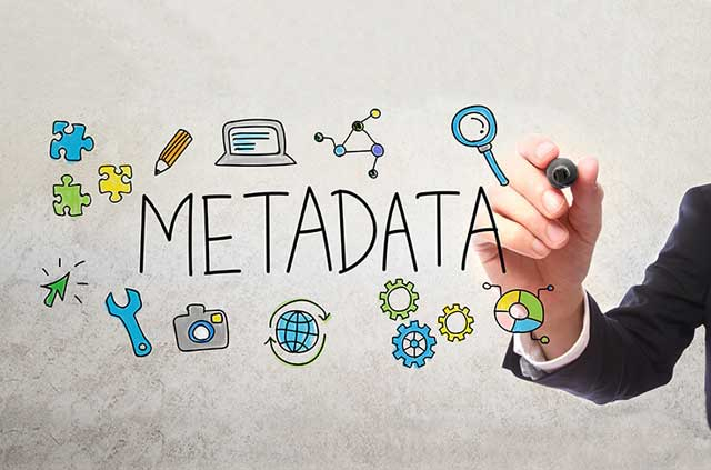 Website metadata