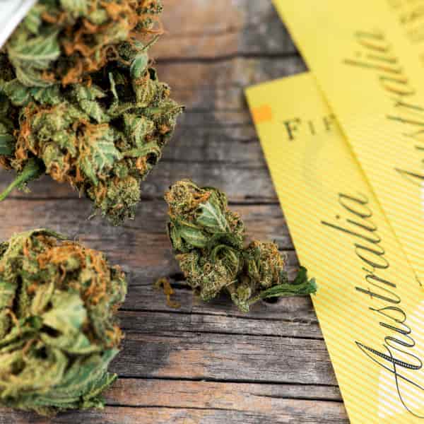 The Cost Of Weed In Australia: Online, City & State Guide To Marijuana Prices