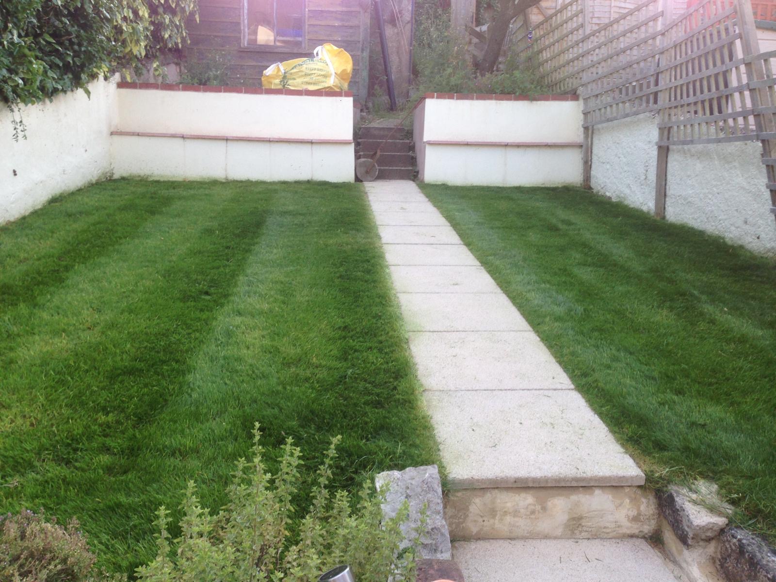 New lawn laid to a high standard in Seaford