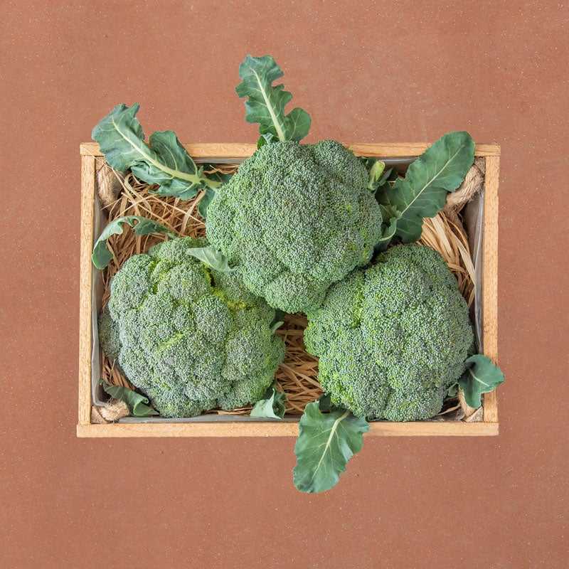 Greek Broccoli 3kg