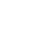 The logo for the Withers Collection. A vintage camera above white font reading 'Withers Collection Museum + Gallery'
