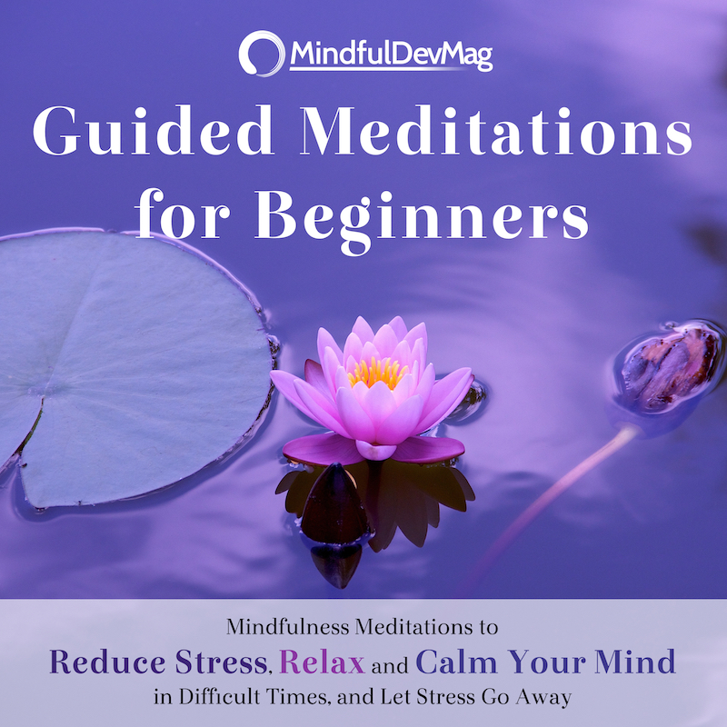 Guided Meditations for Beginners