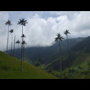 Colombia Valle Cocora 6
